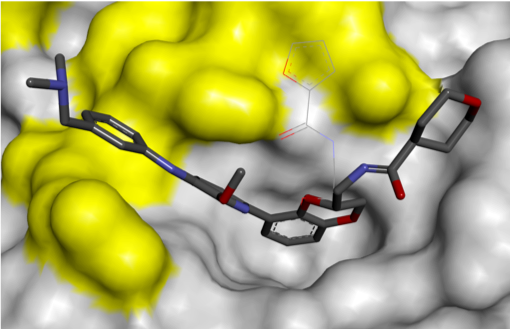 RAS Inhibitors | Fragment-Based Drug Design | Domainex